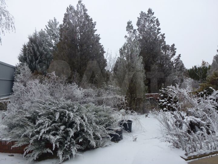 Коттедж 510 м² на участке 13,7 сот.