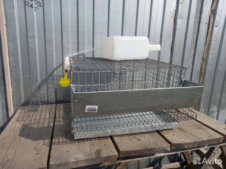 Клетка для перепелов