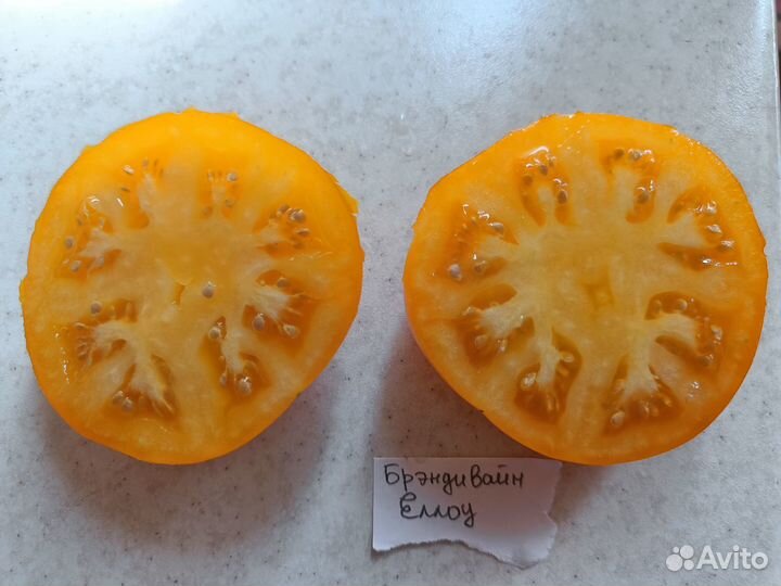 Семена коллекционных томатов - 76 сортов