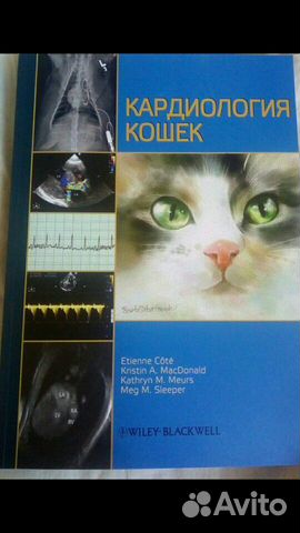 Книга по кардиологии кошек
