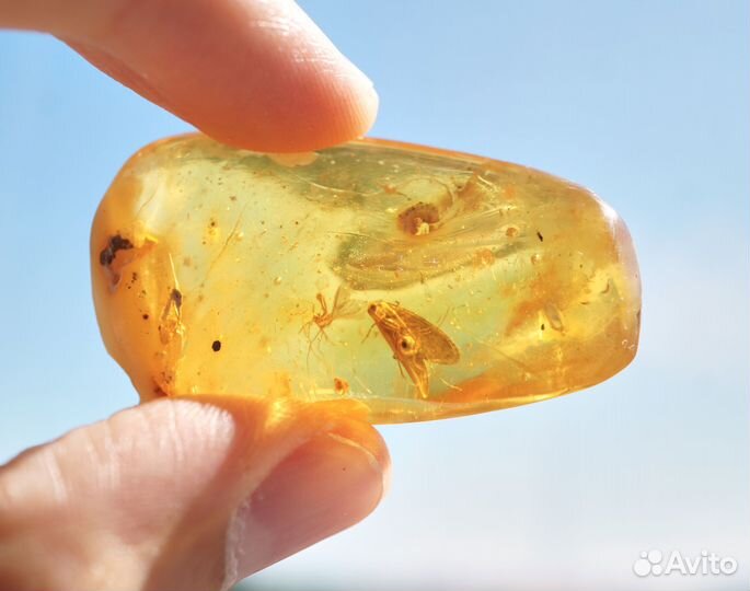 Натуральный балтийский янтарь с включением ручейни