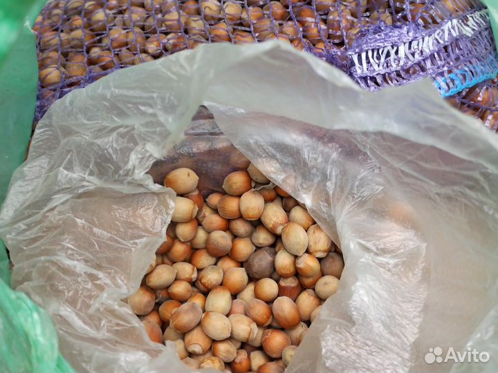 Грецкий орех