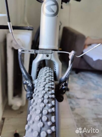 Kellys physio 10 2016