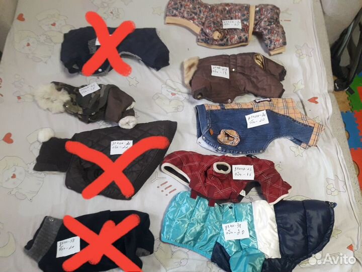 Одежда для маленьких собак