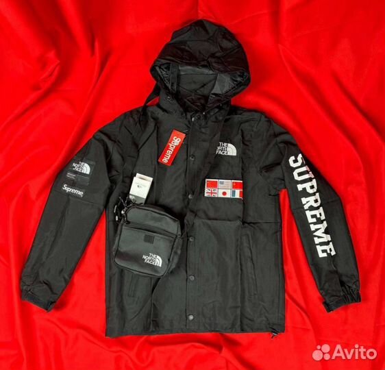 Ветровка сеточкая TNF