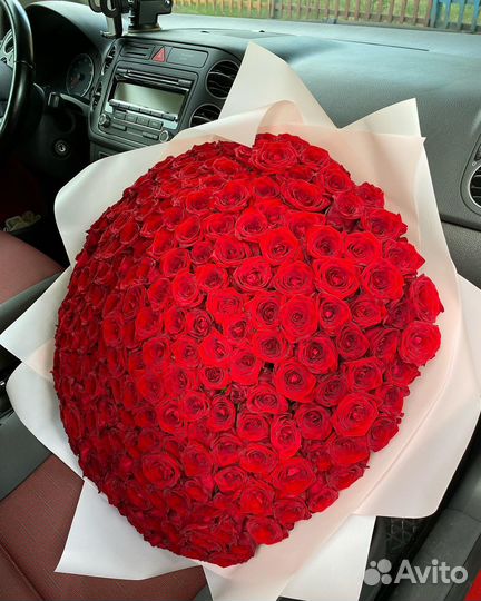 Розы доставка букет роз, розы 51 роза 101 роза