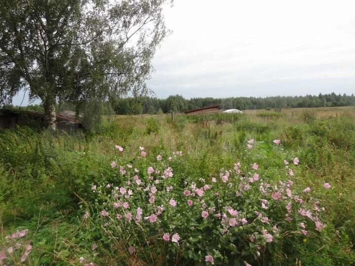 Участок 58 сот. (ИЖС)