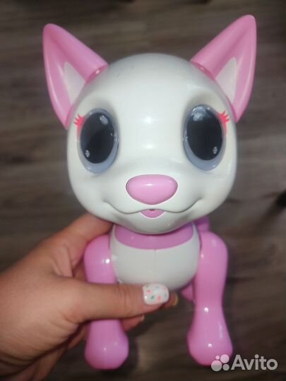 Интерактивная кошка