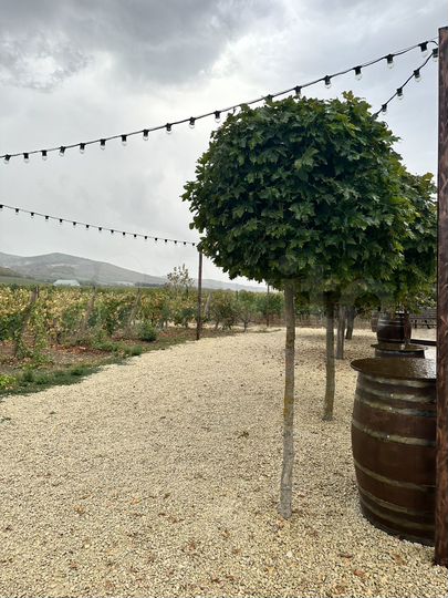 Дом 150 м² на участке 6 сот.