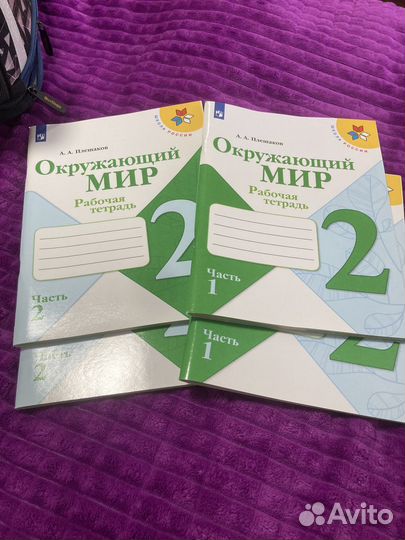 Рабочие тетради 2 класс окружающий мир