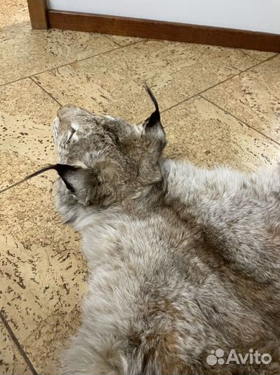 Рысь Имитация ковер