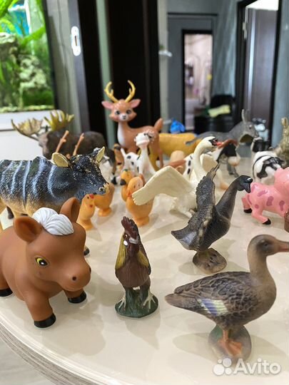 Коллекция домашних и диких животных