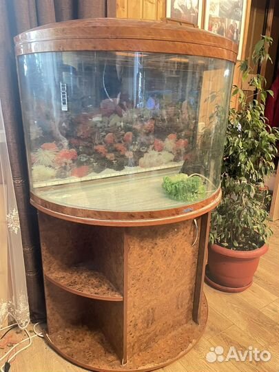 Аквариум с тумбой Джебо