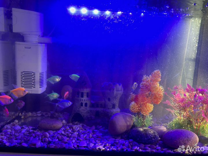 Аквариум