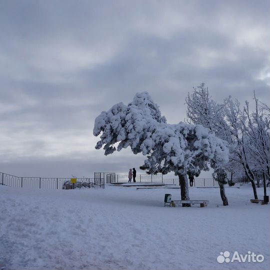 Тур в Крым, Ялту на Новый год из Ростова