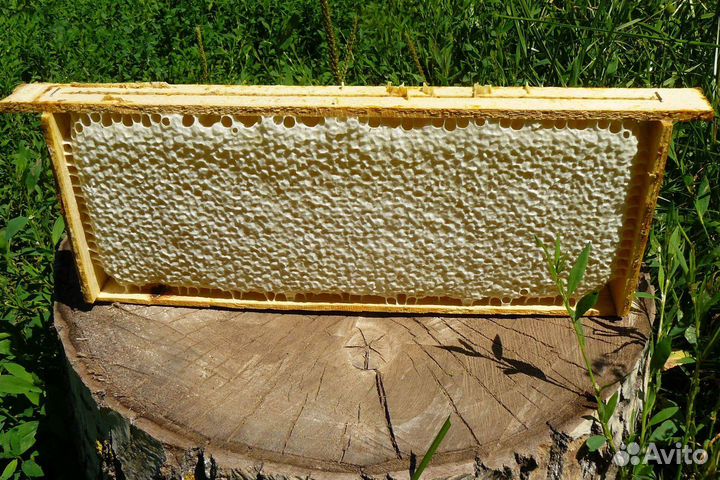 Мед с собственной пасеки