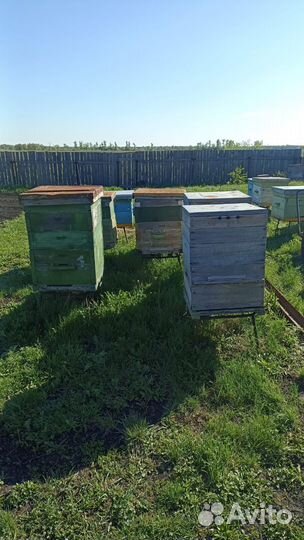 Улей для пчел бу