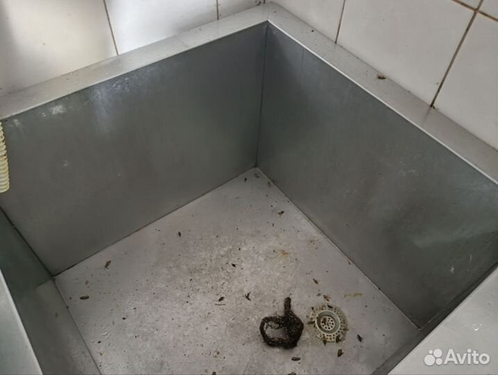 Дезинсекция/Уничтожение тараканов, блох, клопов