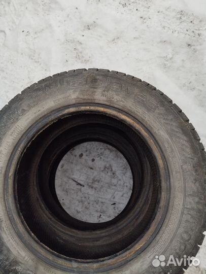 Gislaved NordFrost 100 175/70 R14