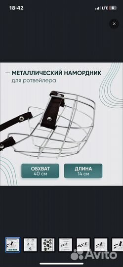 Ошейник строгий и намордник