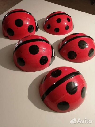 Божья коровка