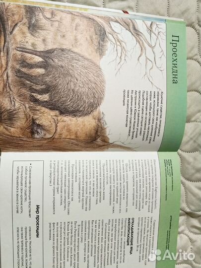 Полная энциклопедия эксмо Вымершие животные