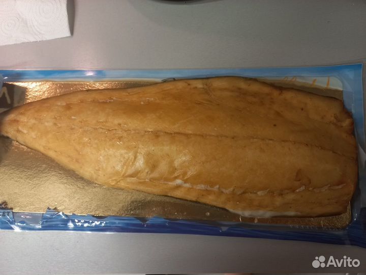 Масляная рыбка (Эсколар)