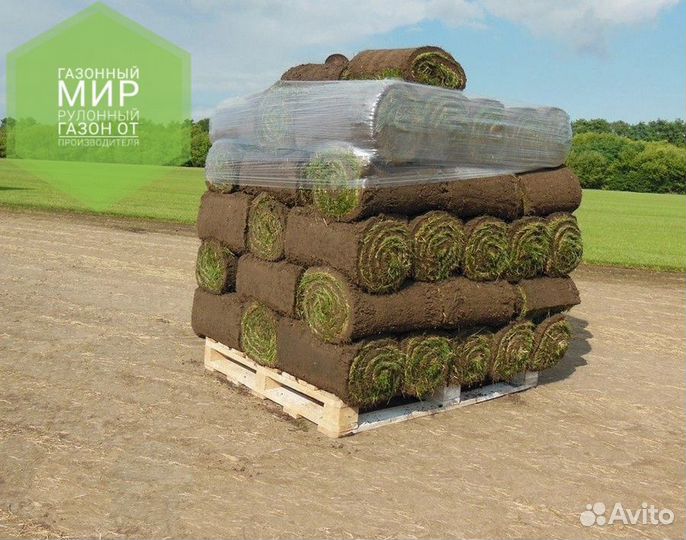 Рулонный газон