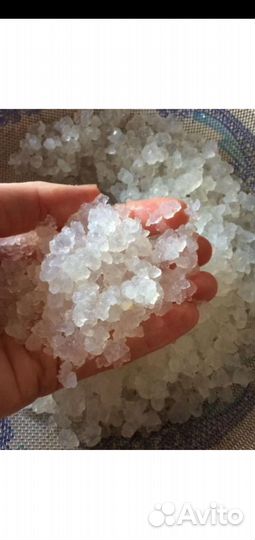 Индийский морской рис