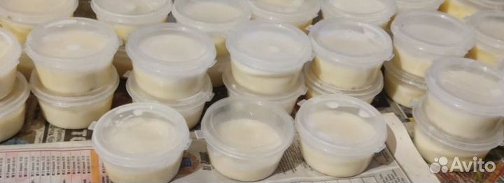 Страусы, Яйцо страуса