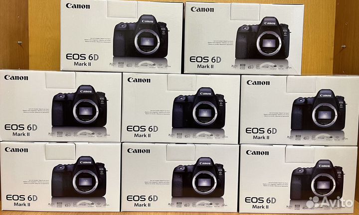 Canon EOS 6D Mark II+Canon EF 100mm 2.8L Macro