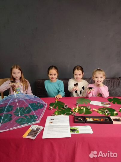 Клуб мастер класс Юный бабочковод, юный энтомолог