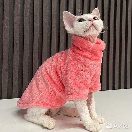 Одежда для собак и кошек