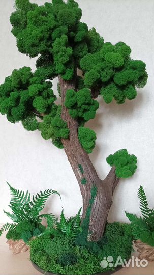 Мох - Дерево из живых мха и растений