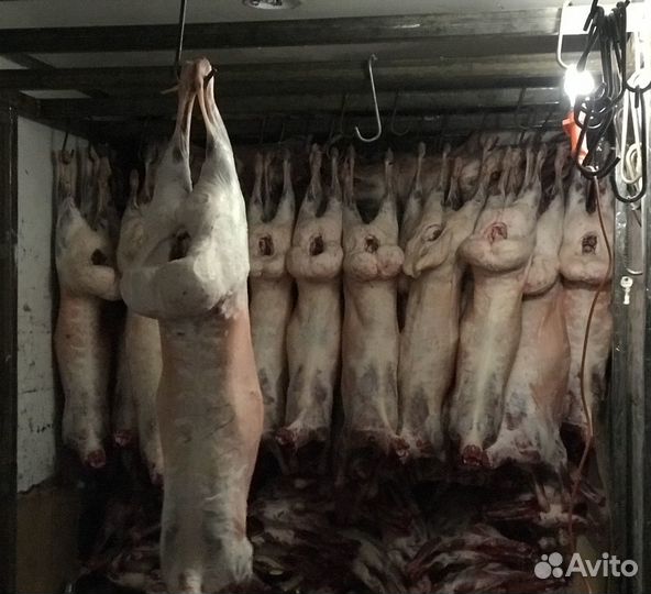 Мясо баранина халяль