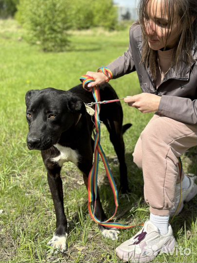 Очаровательный Олаф