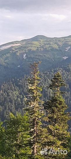 Такси по месту и краю