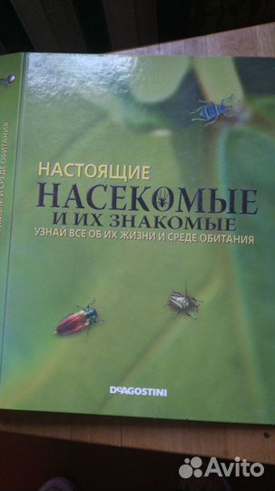 Коллекция насекомых deagostini