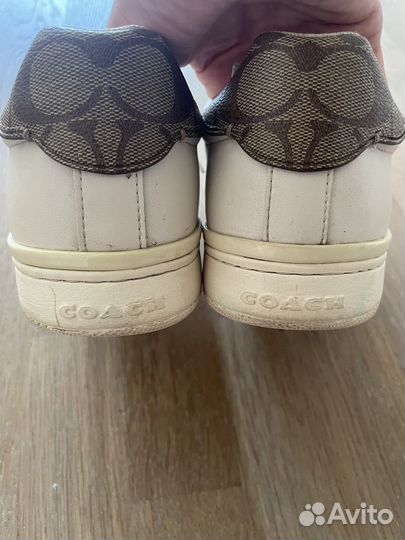 Женские кеды Coach 40