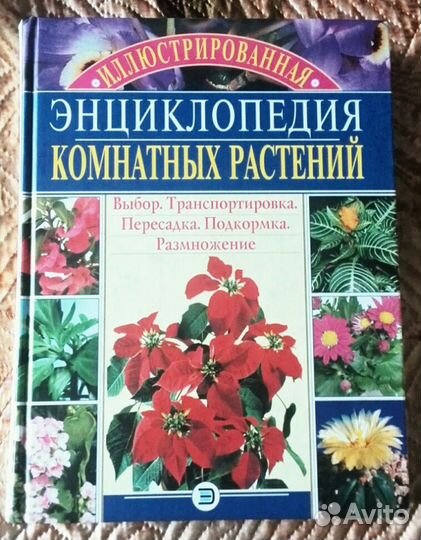 Энциклопедия комнатных растений