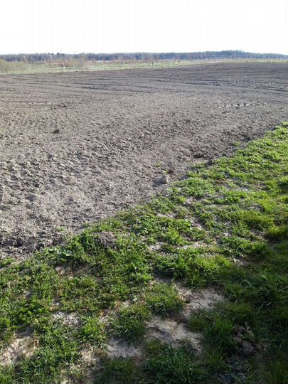 Участок 80,9 сот. (СНТ, ДНП)