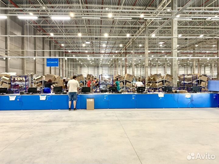 Интернет-бизнес на Ozon