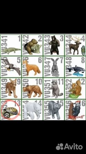 Киндер natoons (натунс)