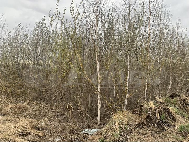 Дача 21 м² на участке 6 сот.