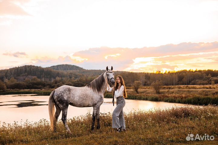 Конные прогулки и фотосессии