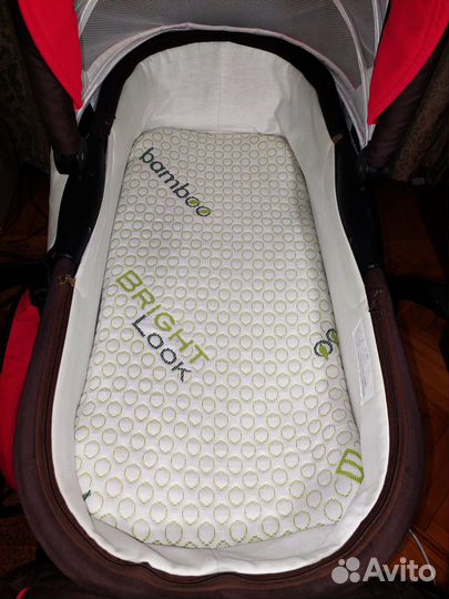 Детская коляска Anex Elana 2 в 1