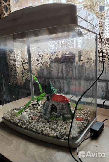 Аквариум