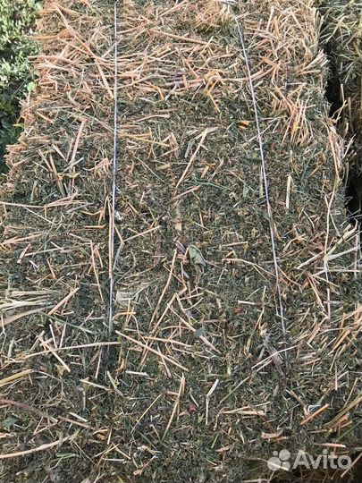 Продаётся зелёное сено люцерны и разнотравия