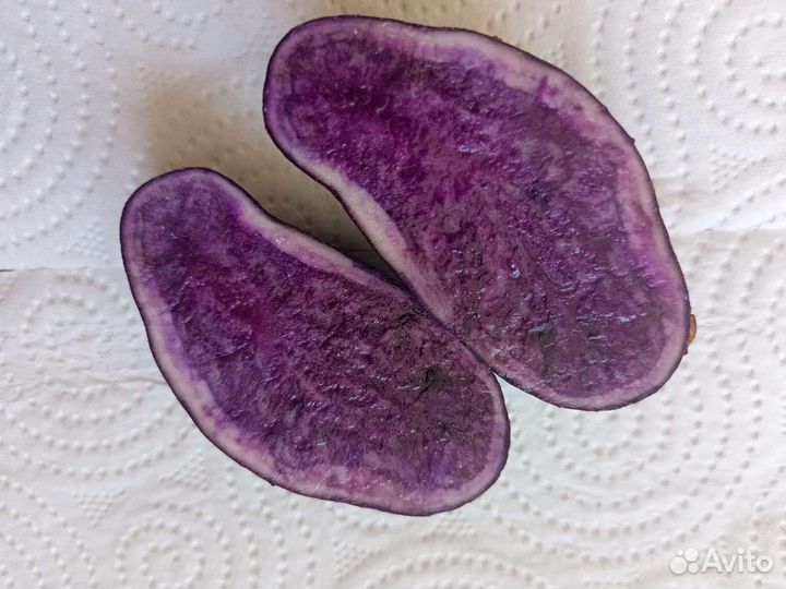 Семенной картофель