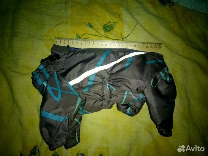 Одежда для собак